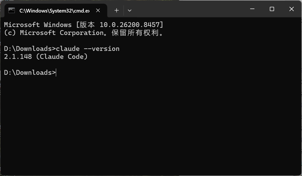 查看 Claude Code 版本号